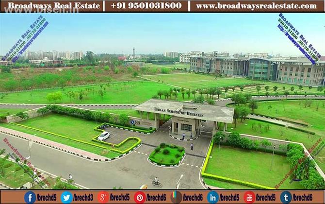 300 gaj Plot for sale at Gmada IT city Sector 66B Mohali