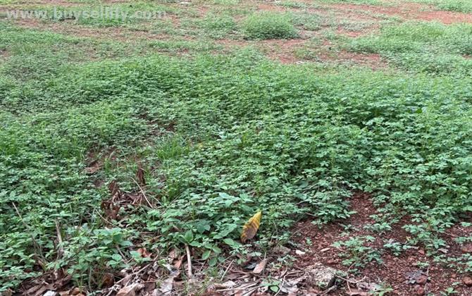 5 Cent House Plot for Sale in Malaparamba, Kozhikode