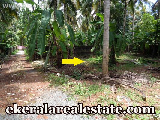 5 cent land plot for sale at  Nalanchira