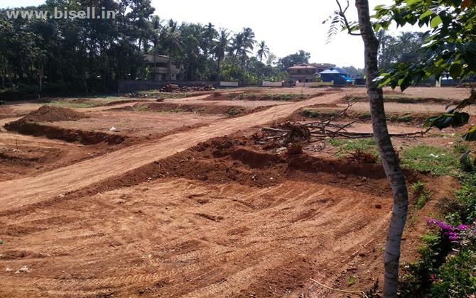 5 to10 cents of villa plots for sale in Karicode Mulanthuruthy Ernakulam