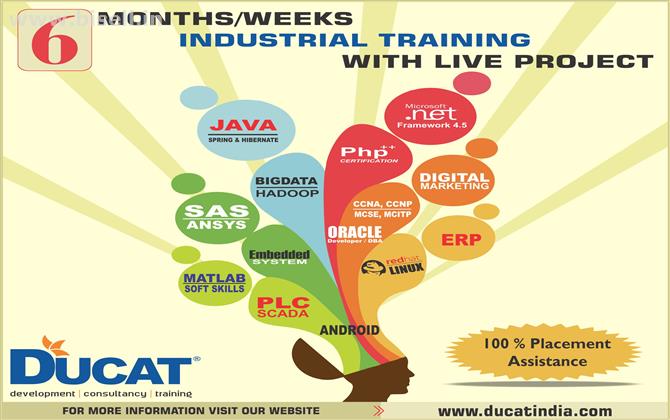 6 Months Industrial Training