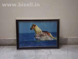 Best Photo Frame Online Low Cost 9599854243