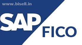 Best SAP FICO Training Institute in Noida- SLA Consultants