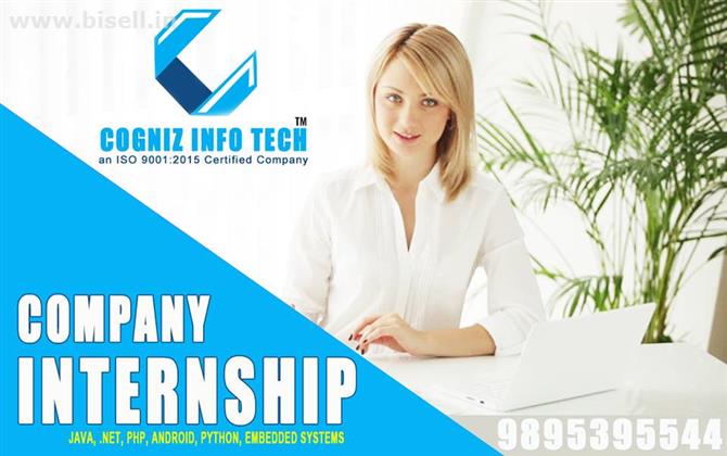 Cogniz Infotech 3,4,6 Months Live Paid Internship Computer Training