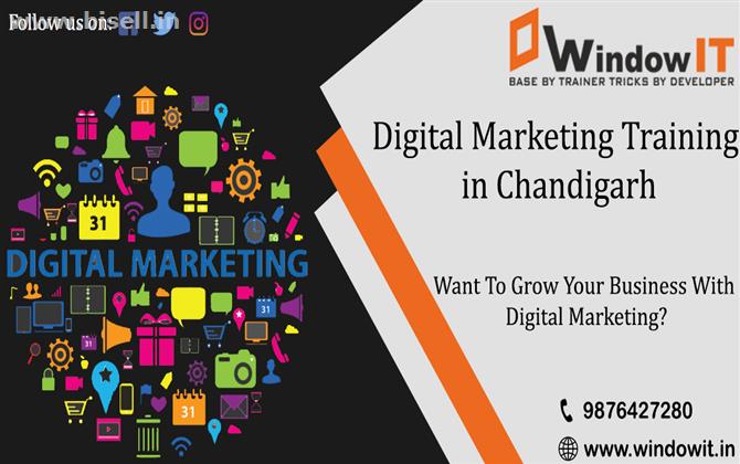 Digital Marketing Training in Chandigarh