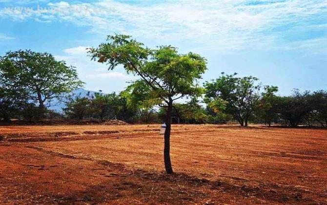 DTCP APPROVED BEAUTIFUL PLOTS FOR SALE IN COIMBATORE!!!