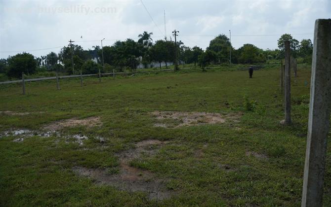 DTCP Approved with Potable Ground Water Land  for Sale In Kelambakkam , Chennai .