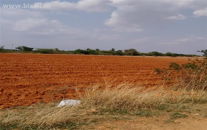 Fertilized land for sale at Chitradurga in Karnataka