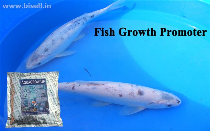 Fish Growth Promoter