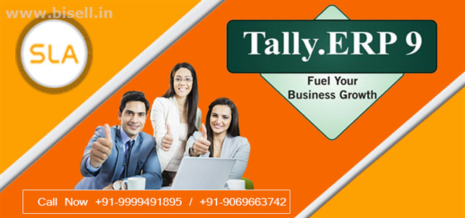 Master Your Skills By Best Tally Course in Noida at SLA Consultants Noida Centre