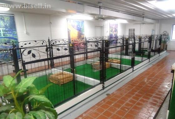 Online Dog Hostel call: +91 8053331722 www.petshomey.com