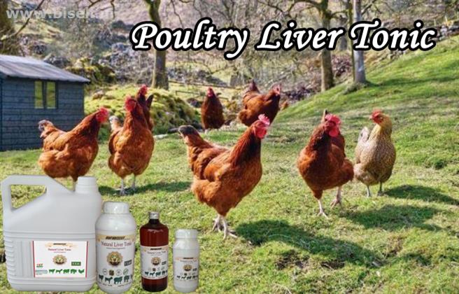 Poultry Liver Tonic