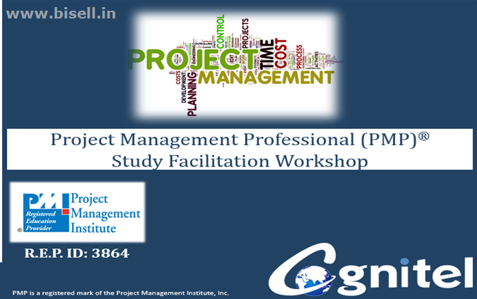 Project Management Professional (PMP)®Study Facilitation Workshop - 13th Jan