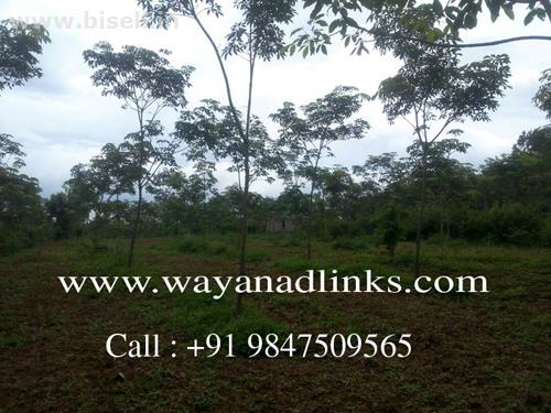 Real estate properties in wayanad.-wayanadlinks