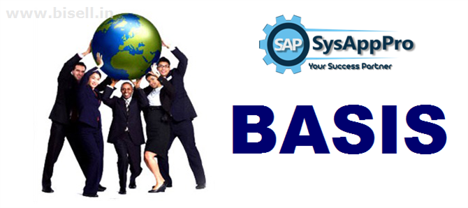 SAP Basis Training in Noida