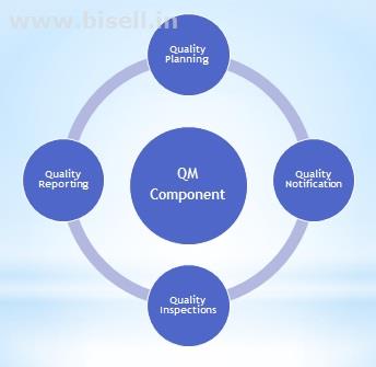 SAP QM Online Training in Bangalore