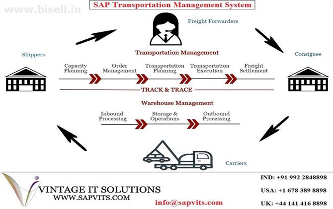 SAP TM Training in Bangalore