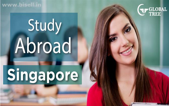 Study in Singapore, Overseas Education, Study &Work in Singapore– Global Tree