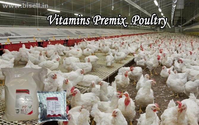 Vitamins premix  poultry